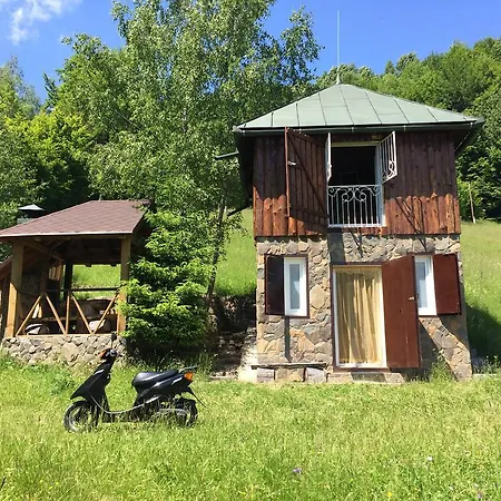 House In Mountains Rakhiv