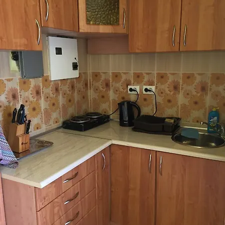 Country house House In Mountains Rakhiv